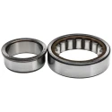 SKF Cylindrical Roller Bearing 40 mm ID 80 mm OD 18 mm Width Non-Metallic Cage Shielded NJ 208 ECP