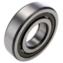 SKF Roller Bearing 50 mm Inside Diameter 110 mm Outside Diameter Shielded Non-Metallic Cage NUP 310 ECP