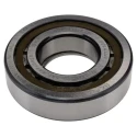 SKF Roller Bearing 50 mm Inside Diameter 110 mm Outside Diameter Shielded Non-Metallic Cage NUP 310 ECP