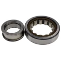 SKF Roller Bearing 50 mm Inside Diameter 110 mm Outside Diameter Shielded Non-Metallic Cage NUP 310 ECP