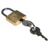 ABB Padlock with 4 mm Shackle Diameter and 17 mm Body GJF1101903R0002 SA2