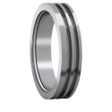 SKF Steel Housing Seal Ring Seal, 170 mm ID, 205 mm OD TS 38