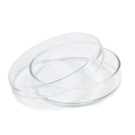 Petri Dishes Borosilicate 33 Expansion Glass for lab image-1