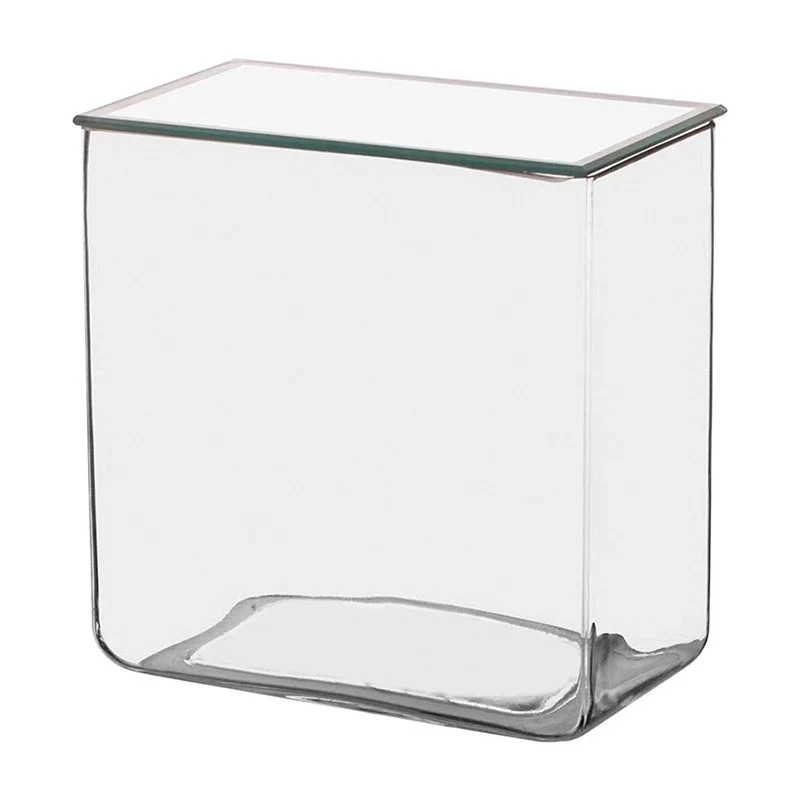  Jars Rectangular Museum Neutral Glass With Glass Cover for lab image-2