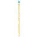 Buy Low Temperature Thermometers Alcohol Filled 30cm for Lab Use"