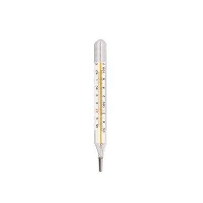 Clinical Thermometer for lab image-1
