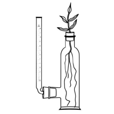 Apparatus for Water Absorption by Plants with Borosilicate Glass image-1
