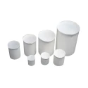 PTFE Beakers With Lip for lab image-1