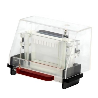 Vertical Slab Gel Electrophoresis Apparatus for lab image-1