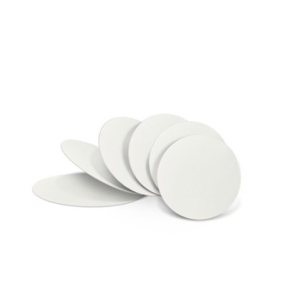 Borosil 0.22µm Boropure Non-Sterile Membrane 514722N image-1