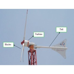 wind-mill-8791