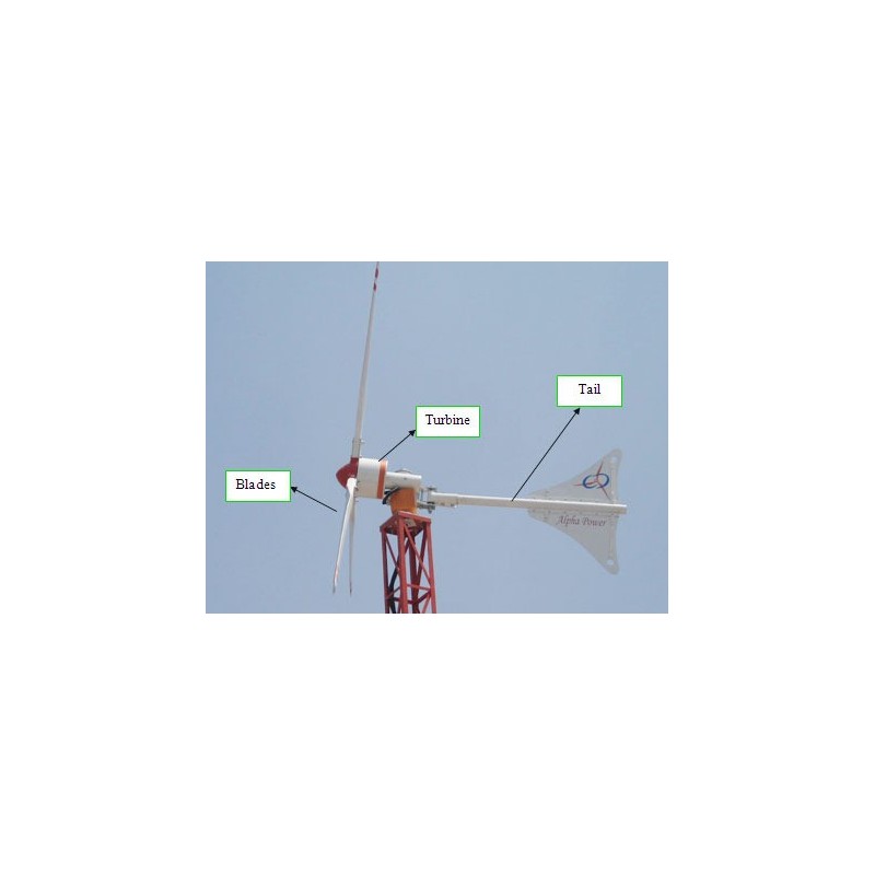 wind-mill-8791