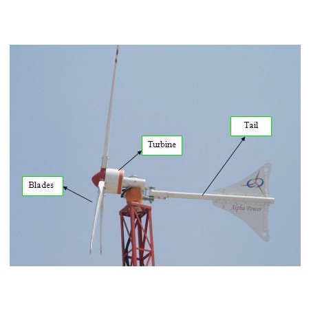 wind-mill-8791