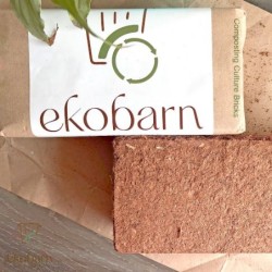 ekobrick-compressed-compost-culture-8970