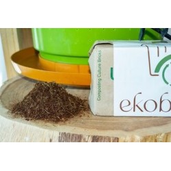 ekobrick-compressed-compost-culture-8970-1