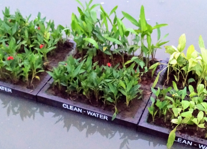 floating-gardens
