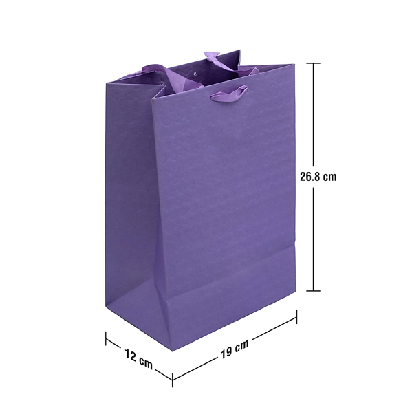 SATYAM KRAFT 12 pcs Medium Size Paper Bag With Handle 24 x 19 x 9.5 cm —  satyamkraft