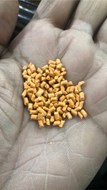 pbt-orange-granules-25-kilogram