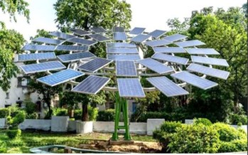solar-tree-plant