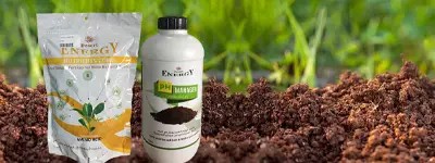 Fertilizers & Soil Additives