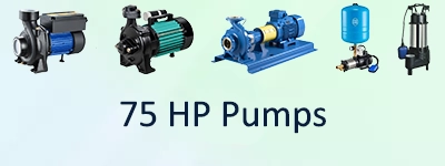 75 HP Pumps