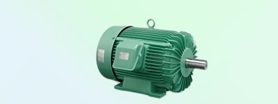 Crusher Duty Motors