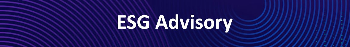 ESG Advisory