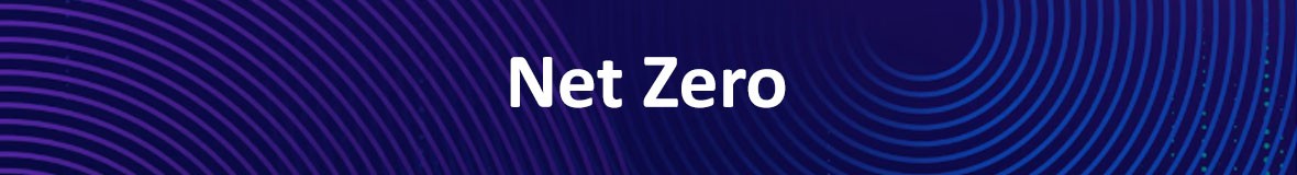 Net Zero