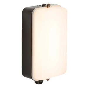 Bulkhead Light