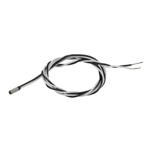 RTD Sensor