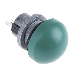 Electronic Switches