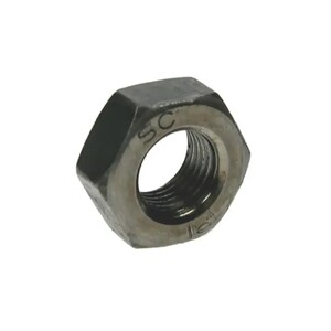 Hex Nut