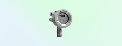 Combustible Gas Detectors