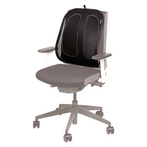 Back Support