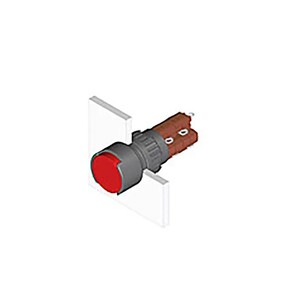 Electronic & Electrical Switches