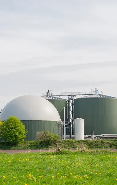 Biogas Plant