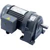 Buy Gear Motor