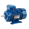 Buy Induction Motor