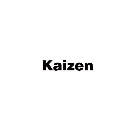 Kaizen