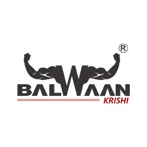 Balwaan