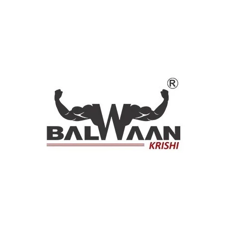 Balwaan